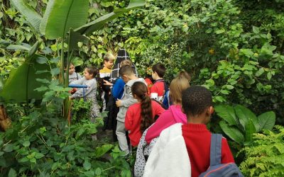 Visita al Parque de las Ciencias